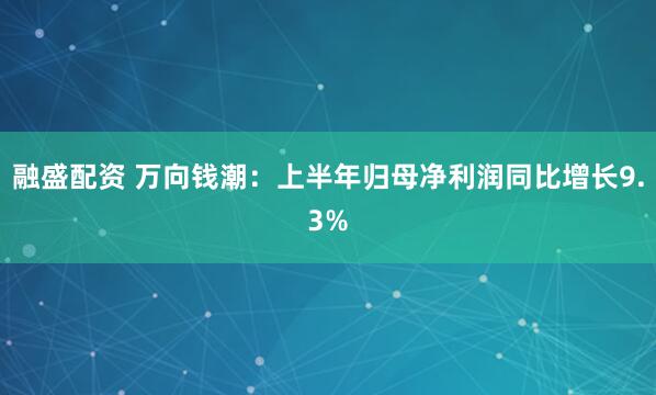 融盛配资 万向钱潮：上半年归母净利润同比增长9.3%