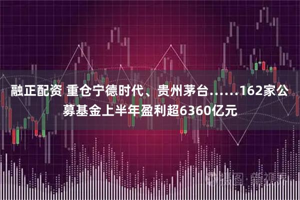 融正配资 重仓宁德时代、贵州茅台……162家公募基金上半年盈利超6360亿元