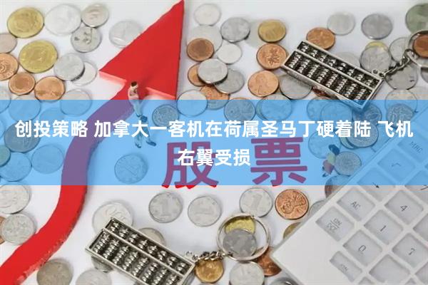 创投策略 加拿大一客机在荷属圣马丁硬着陆 飞机右翼受损