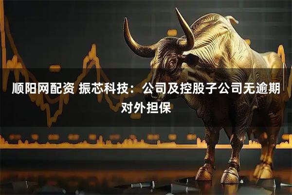 顺阳网配资 振芯科技：公司及控股子公司无逾期对外担保